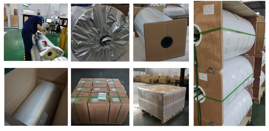 12um 15um 25um Transparent BOPA/Nylon Film