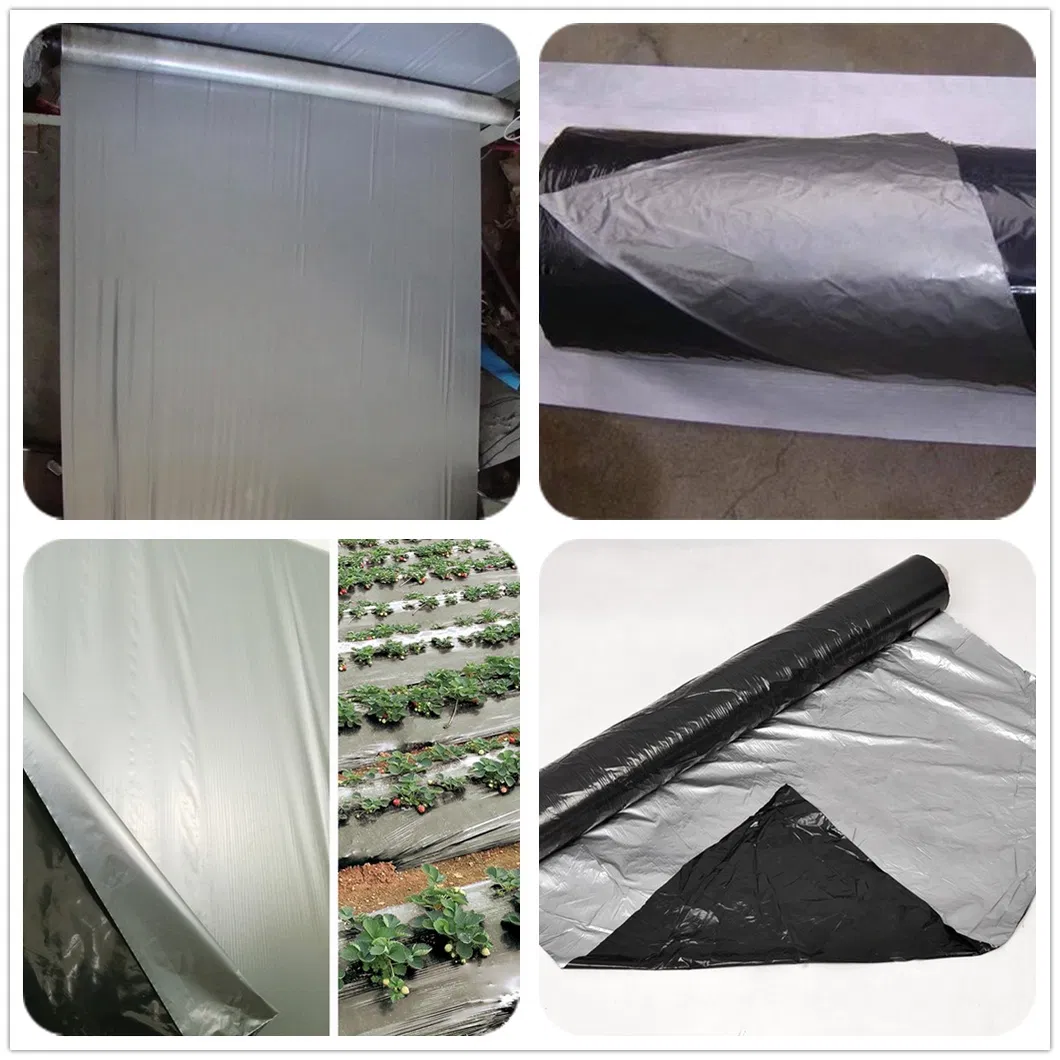 20mic 25mic 30mic 20um 25um 30um Silver Black Plastic Mulch Film Black Silver Plastic Film Greenhouse Film Plastic Film Stretch Film