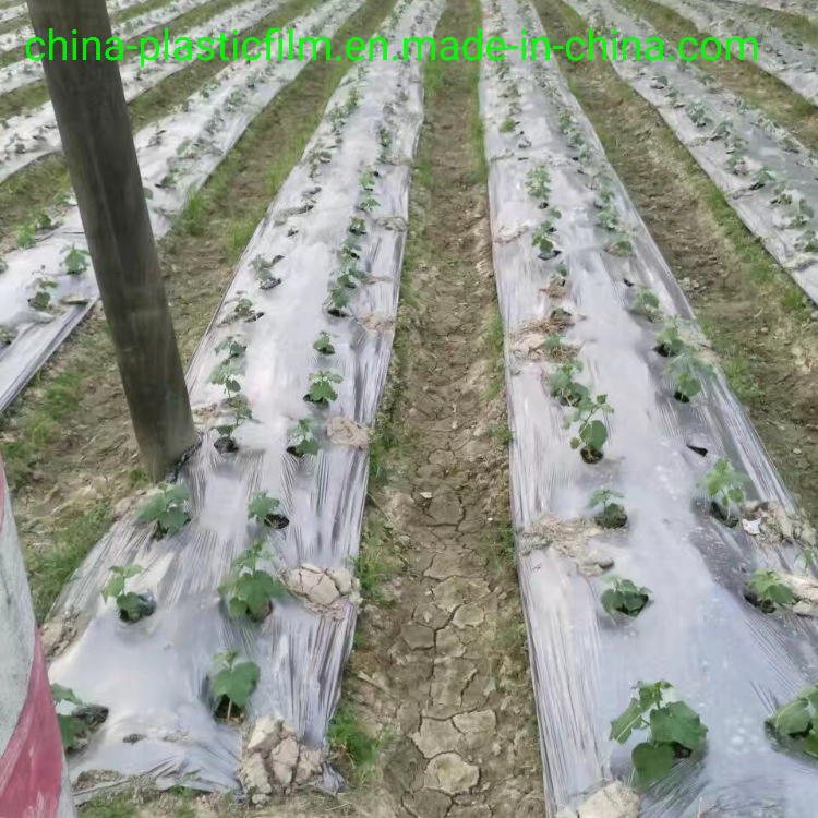 20um 25um 30um Anti-UV Black Silver Mulch Film /Black Silver Weeding Film/Black Silver Anti Insect Film