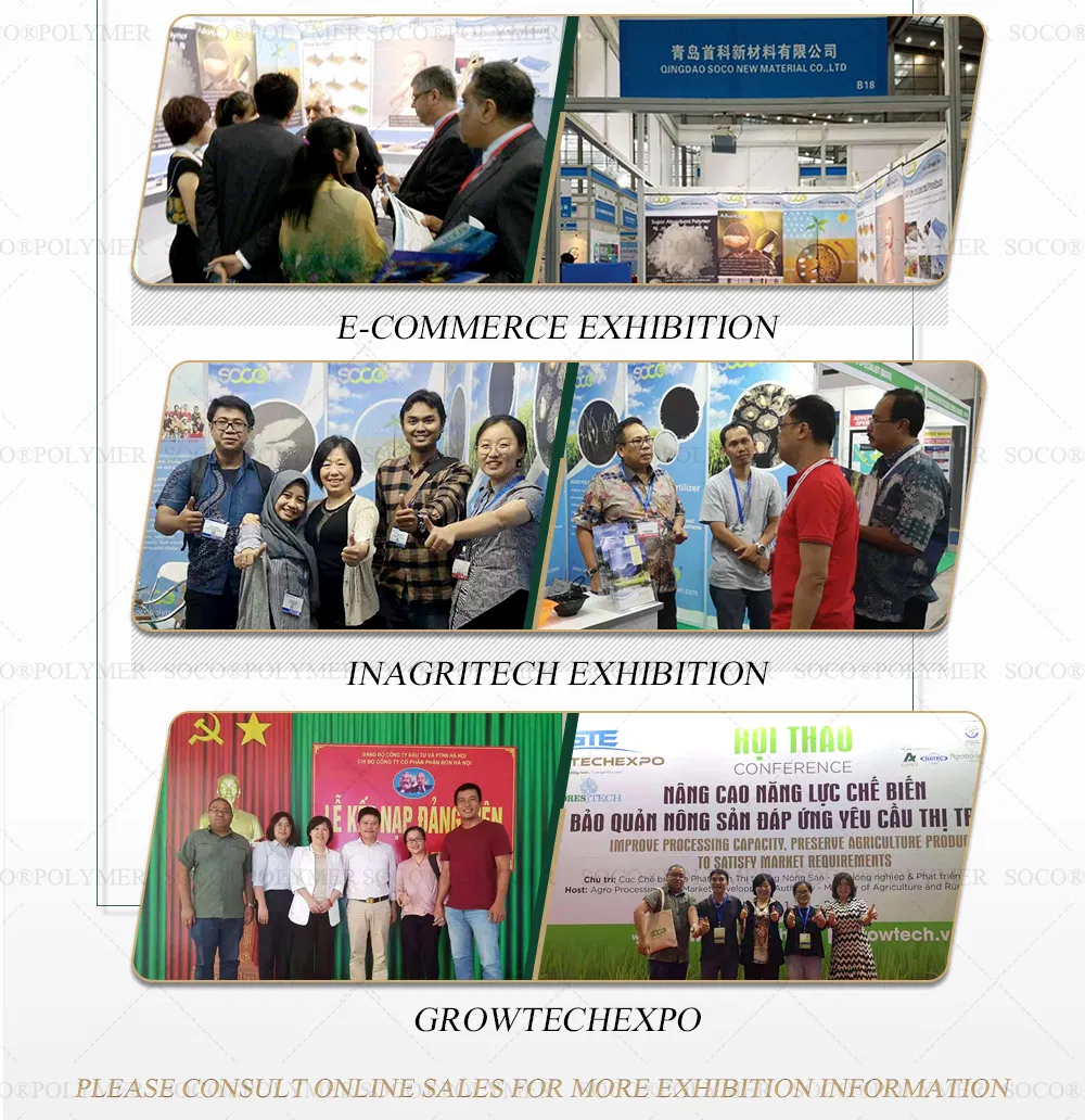 Cheap Water Treatment Chemical Product Sodium Polyacrylate Super Absorbent Polymer for Solidifying Waste Water