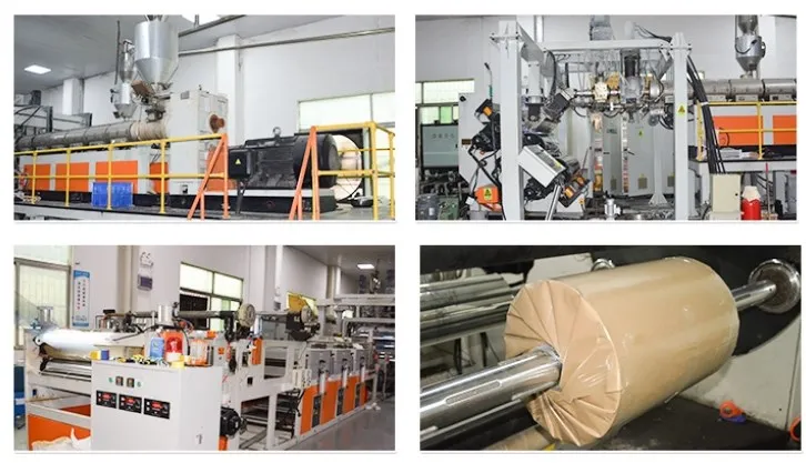 China Pet Material Pet Sheet Pet Roll Pet Film for Vacuum Forming