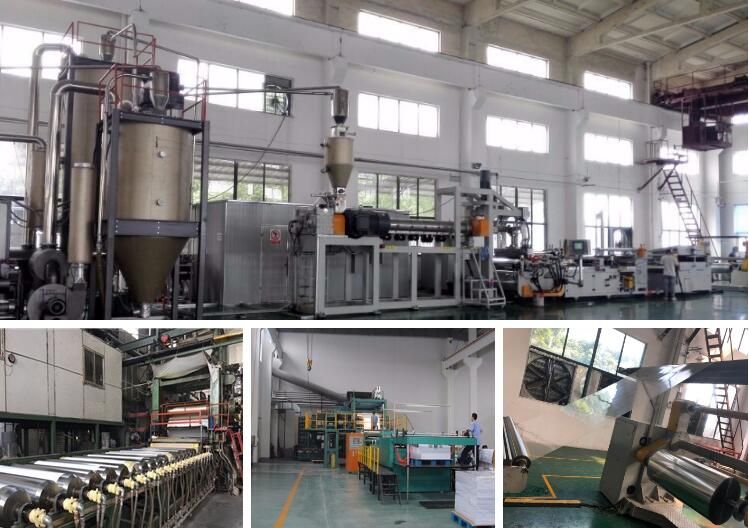 Clear Rigid APET Pet Sheet for Thermoforming Egg Tray
