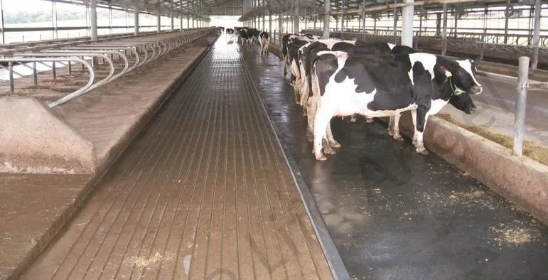 Corrosion-Resistant Foam Livestock Mat Stripe Antiskid Rubber Sheet Cow Mat Best National Rubber