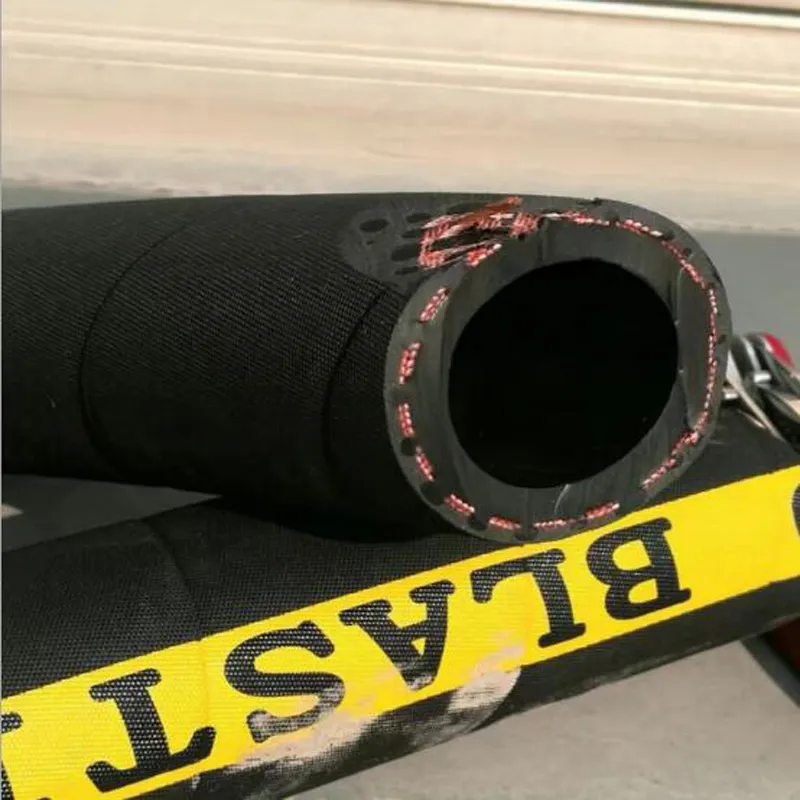Customized Length PTFE Steam Hose for Iron SAE 100r14