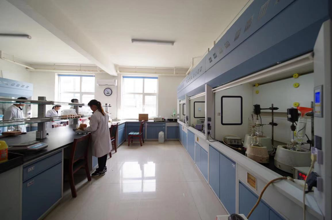 D113 Wac Resin Bead for Water Treatment in China