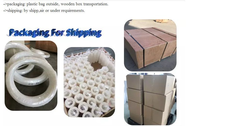 Extruding and Molded 40% Bronze Filled PTFE Pipe PTFE Pipe