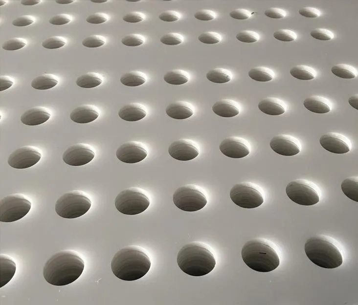 HDPE Geomembran Black Plastic Sheet Perforated Mesh Sheet