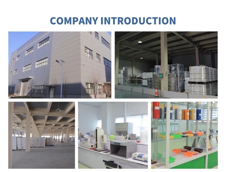 High Quality Customized Transparent Pet/PP/HIPS Rigid Sheet for Packing&Thermoforming