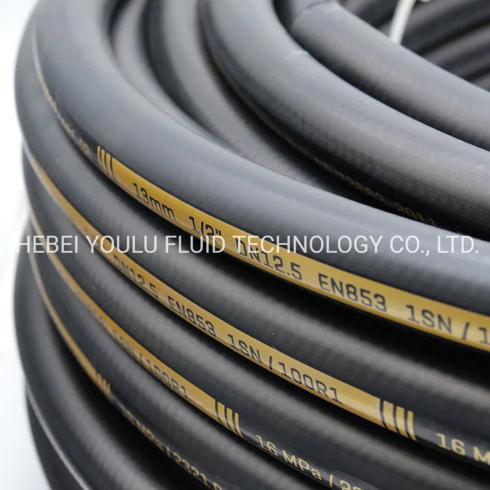 Hydraulic Rubber Hose 1sn with Hose Fittings