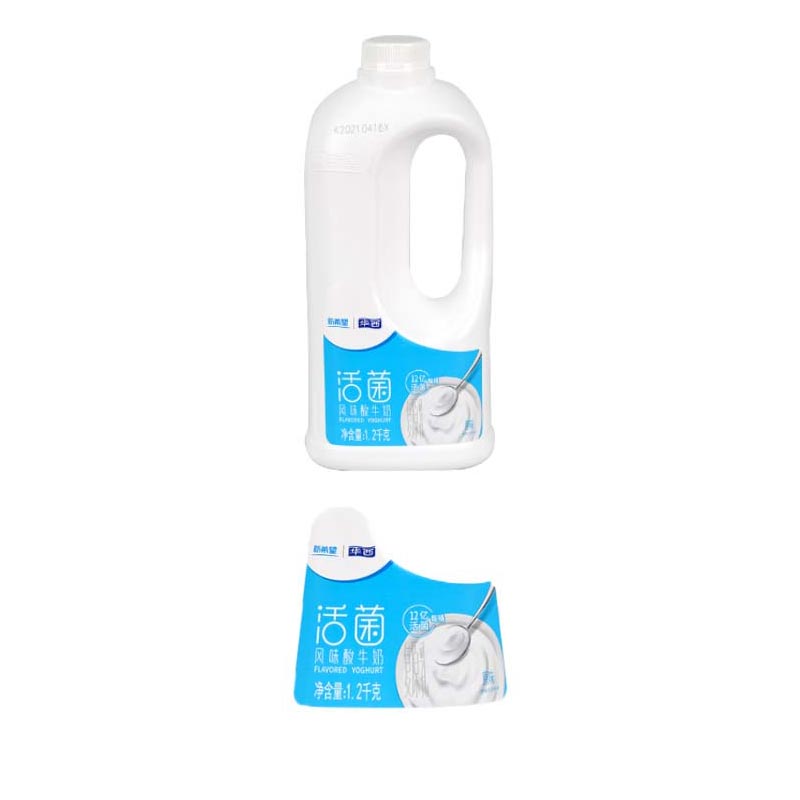 Blow Molding In Mold Label