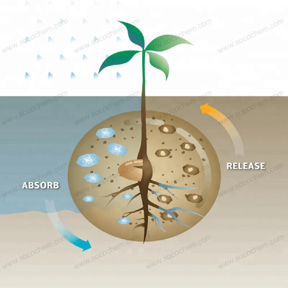 Non Toxic Biodegradable Agricultural Sap Potassium Polyacrylate Polymer Hydrogel for Plant