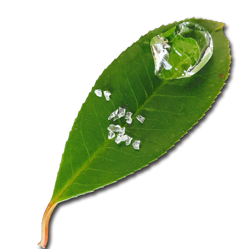 Non Toxic Biodegradable Agricultural Sap Potassium Polyacrylate Polymer Hydrogel for Plant