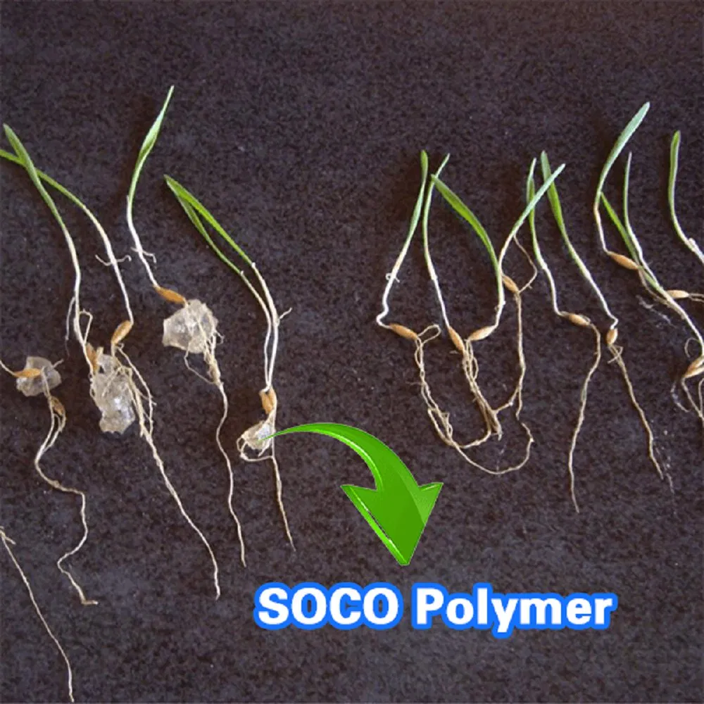 Non Toxic Biodegradable Agricultural Sap Potassium Polyacrylate Polymer Hydrogel for Plant