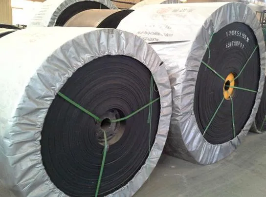 Nylon Canvas Conveyor Belt Nn400