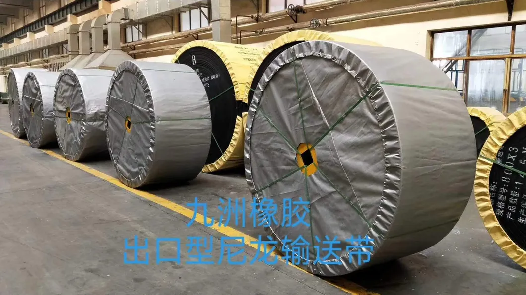 Nylon Canvas Conveyor Belt Nn400