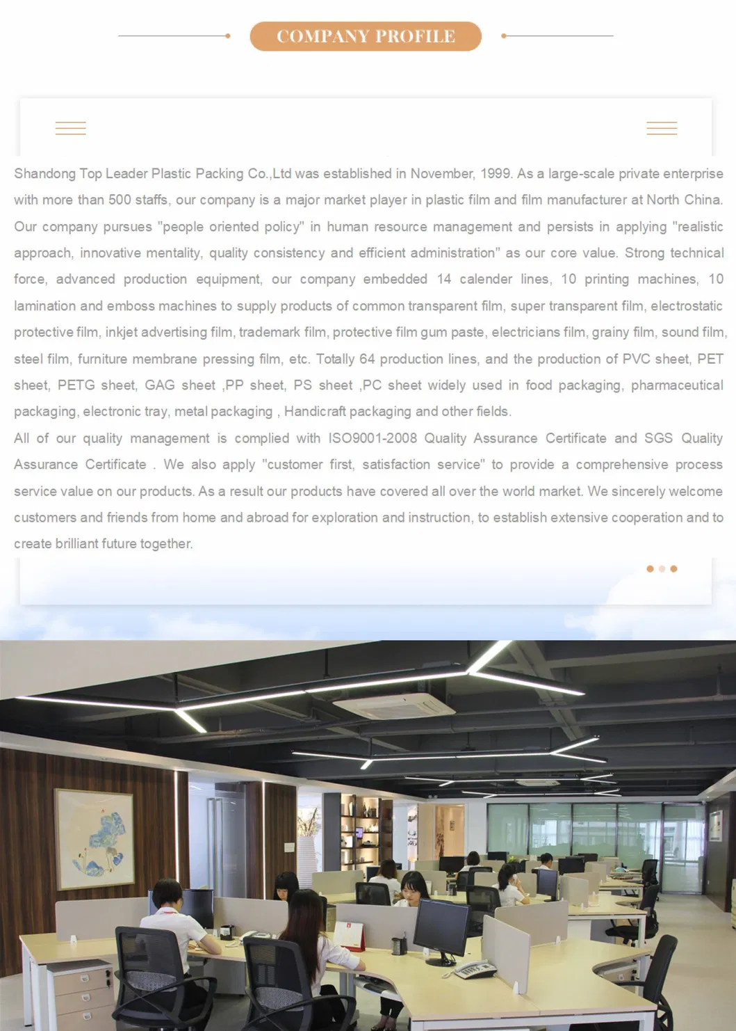 Pharma Blister White Semi Transparent Rigid Plastic Pet Films Printing PVC /PE/ PS/Polypropylene PP HDPE Sheet Foil Film for Medicine Trays and Food Packing