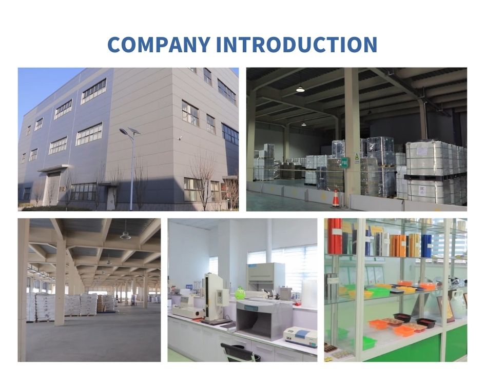 Pharmaceutical Blister Packaging 250 Micron Color PVC Filmpvc White Rigid Film for Packging