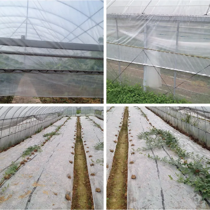 Plastic Stretch Film Plastic Rigid Film Clear Plastic Protective Film