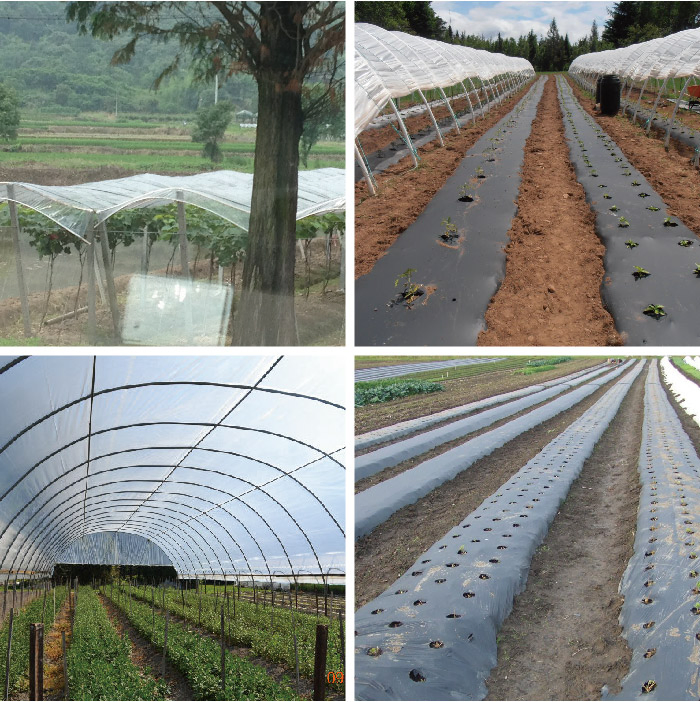 Plastic Stretch Film Plastic Rigid Film Clear Plastic Protective Film