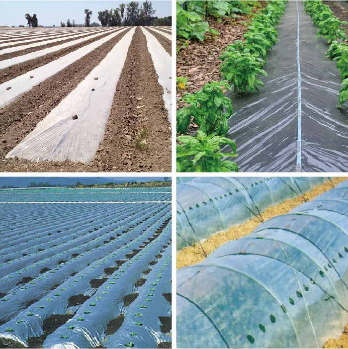 Plastic Stretch Film Plastic Rigid Film Clear Plastic Protective Film
