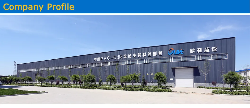 Pn16 Pn20 Pn25 Plastic Water Pipe PVC-O Pipe for Water Supply/Irrigation