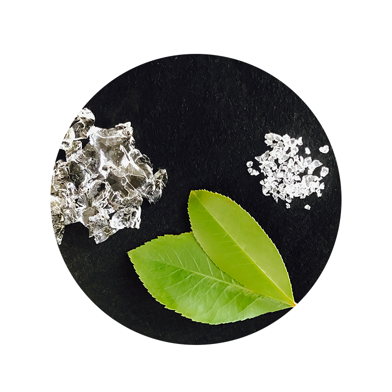 Potassium Based Sap Could Improve Seed Germination for Crop Protection Company