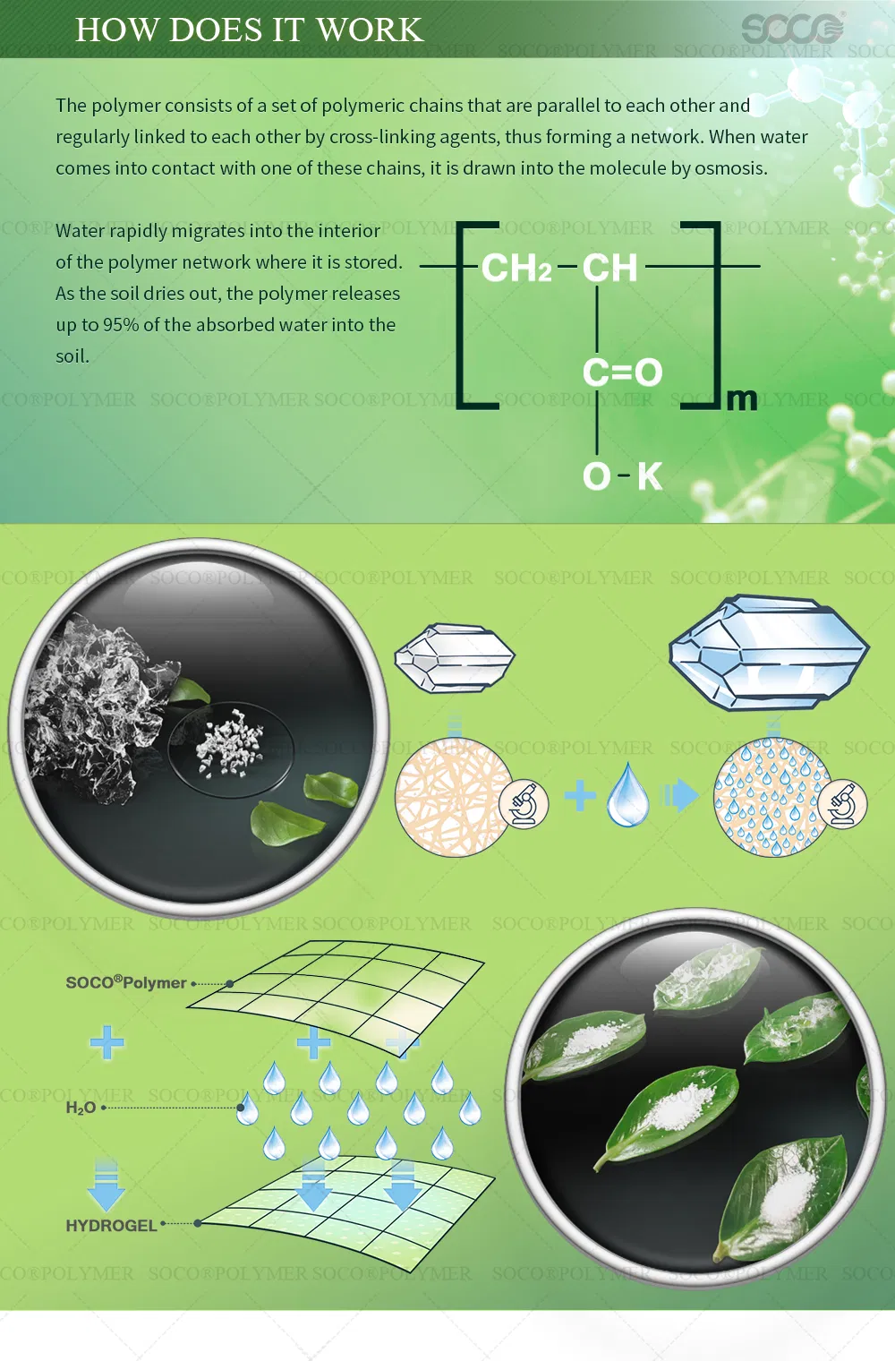 Potassium Polyacrylate Sap Super Absorbent Polymer with SGS for Plants