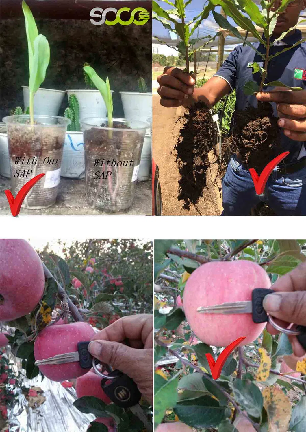 Potassium Polyacrylate Sap Water Lock Crystals Mixed with Soil Apply to Plant