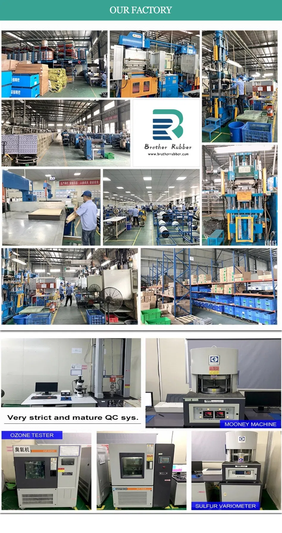 Rubber Seal, Rubber Product, Diaphragm/Bushing/Grommet/O Ring