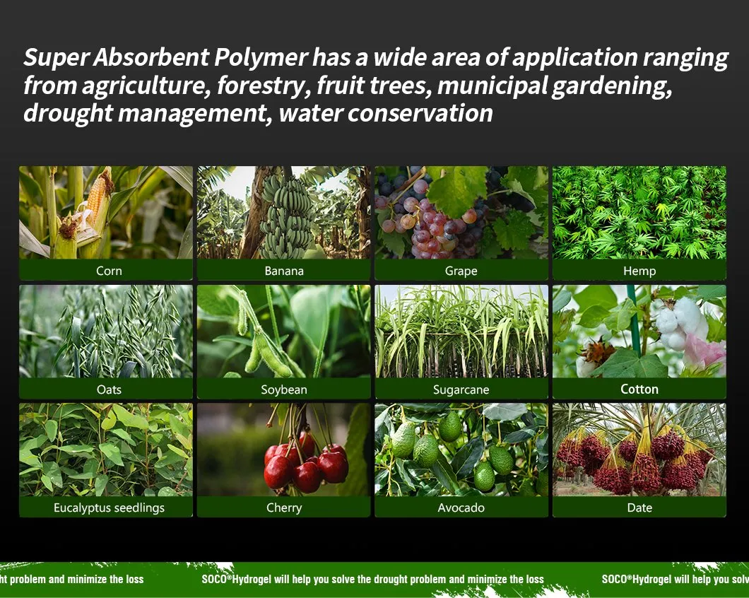 Super Absorbent Polymer Sap Potassium Polyacrylate Hydrogel Powder Polymer Acrylate Powder Hydrogel Polym for Drought Agriculture Save Irrigation Increase Yield