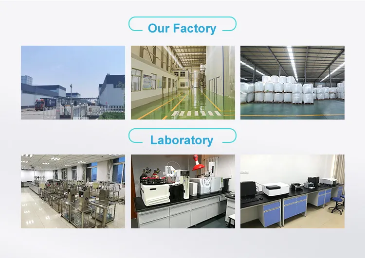 Super Absorbent Polymer Sap Potassium Polyacrylate Hydrogel Powder Polymer Acrylate Powder Hydrogel Polym for Drought Agriculture Save Irrigation Increase Yield