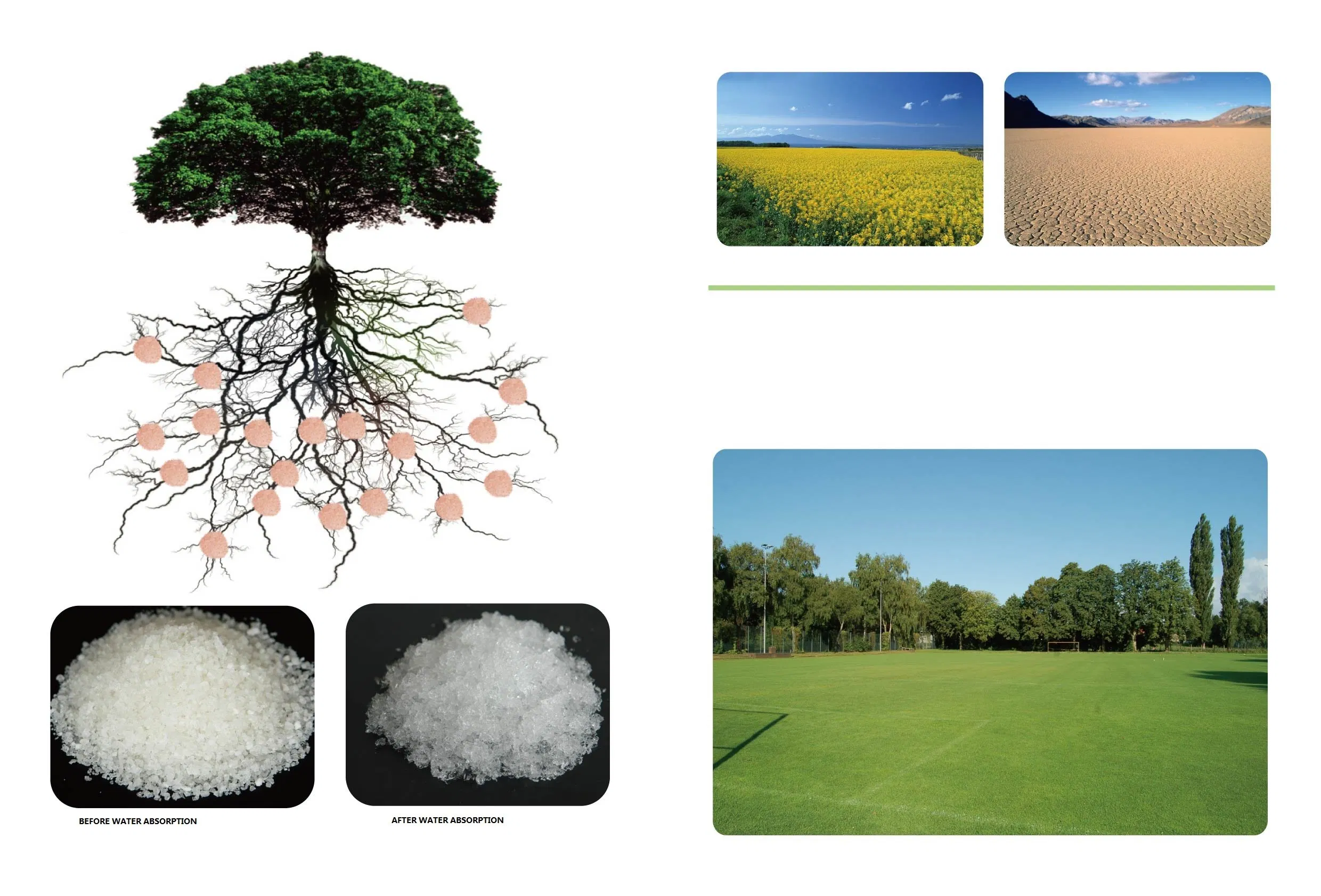 Super Water-Absorbing Polymer for Agriculture Usage as Water-Retaining Agent