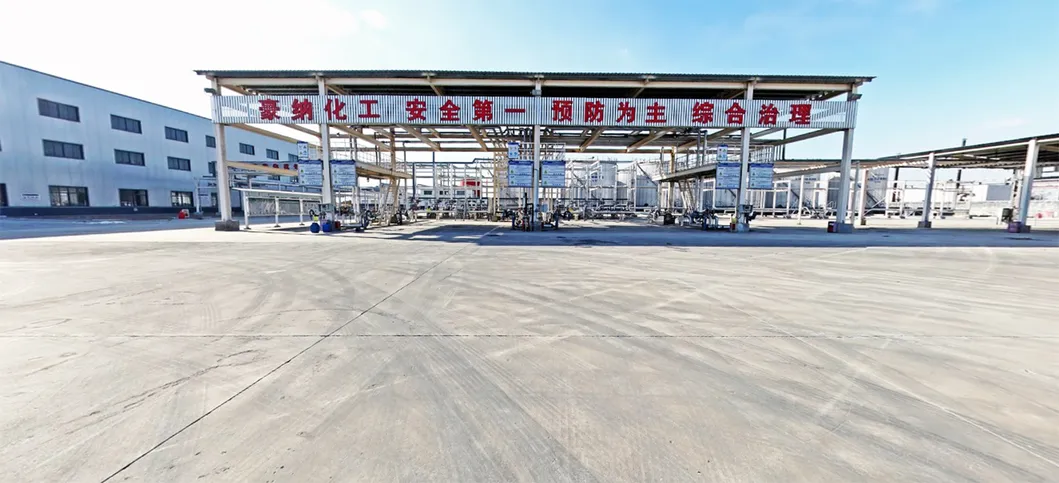 Water-Based Styrene Acrylic Polymer Used for Interior and Exterior Wall Paints