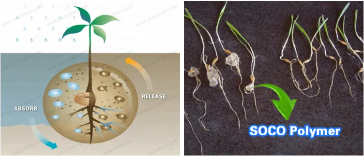 Wholesale Potassium Polyacrylate Water Retention Gel for Plant